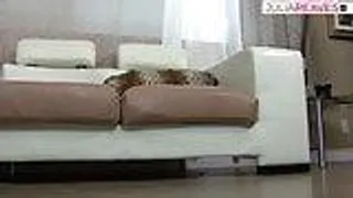 Blondine mit echten dicken Titten loni in der hündchenstellung gefickt