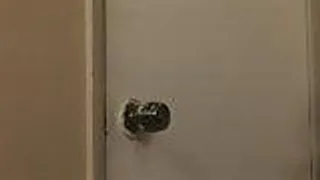 Pralle schwarze lutscht weissen Schwanz im Bett