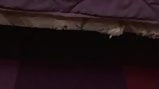Typ fickt heisse Brünette im Bett