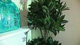 Umwerfende Blondine gibt es dem Schwanz mit ihren füßen - Footjob und ficken auf dem Sofa