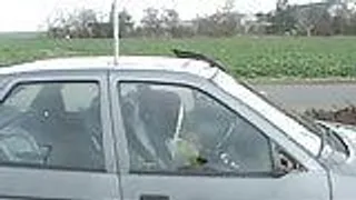 Amateur Mom mit dicken Titten bläst und fickt im Auto