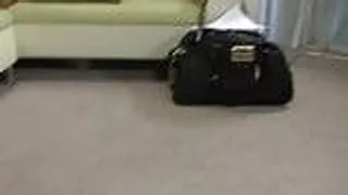 Vollbusiges Mädchen hat heissen Sex auf der Couch